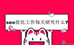 寶雞網：seo優(yōu)化工作每天研究這6點!(大站運營)